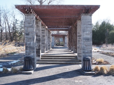 Montreal photograph 8